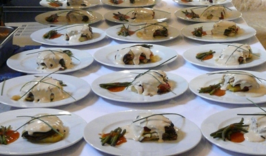 Presentación senadores